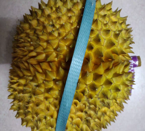 QQDƬ20190525074504.png