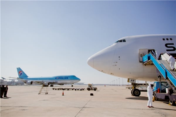 mR-6.jpg