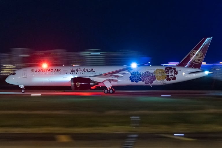 D麽׼ܲB787-9Ϳ͙C.jpg