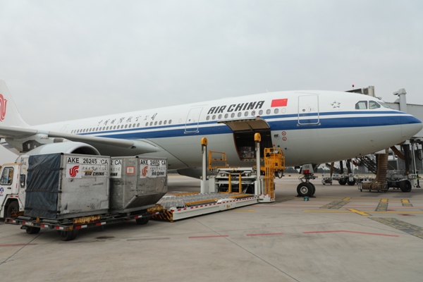 1R5A1033.JPG