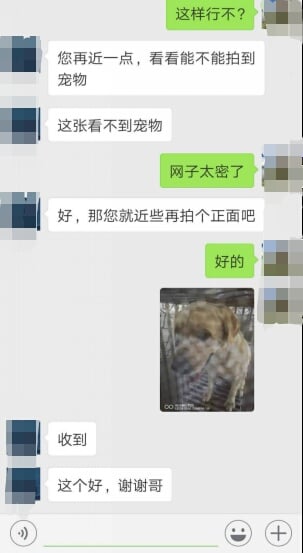 BrO.jpg