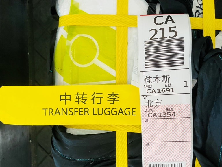 D(zhun)(bio).jpg