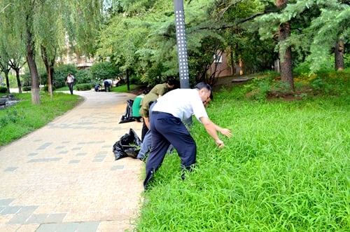 5.JPG