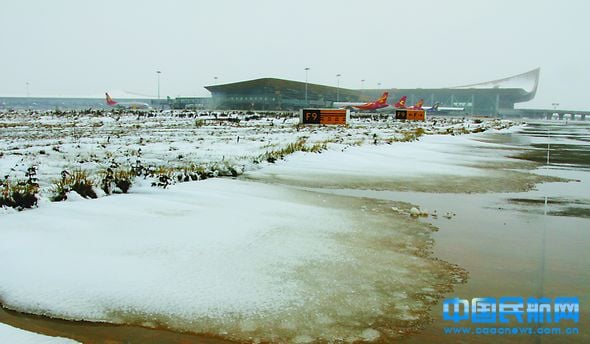 zhangwei20140109141542.jpg